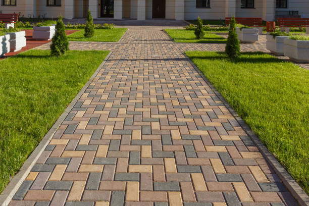 Best Decorative Driveway Pavers  in Valley, NE